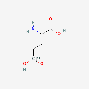 molecular formula C414CH9NO4 B1675229 L-谷氨酸-5-14C CAS No. 24016-48-6
