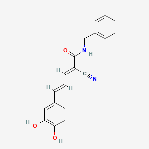 molecular formula C19H16N2O3 B1675279 (E,E)-2-(Benzylaminocarbonyl)-3-(3,4-dihydroxystyryl)acrylonitrile CAS No. 368836-72-0