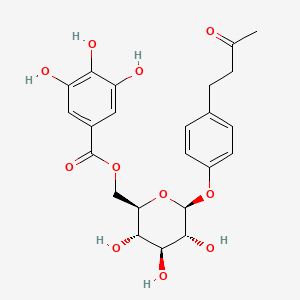 molecular formula C23H26O11 B1675480 [3,4,5-Trihydroxy-6-[4-(3-oxobutyl)phenoxy]oxan-2-yl]methyl 3,4,5-trihydroxybenzoate CAS No. 59282-56-3