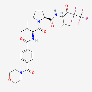 molecular formula C29H37F5N4O6 B1676105 Mdl 101146 CAS No. 149859-17-6