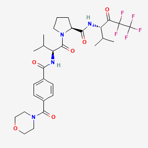 B1676106 1-{3-Methyl-2-[4-(morpholine-4-carbonyl)-benzoylamino]-butyryl}-pyrrolidine-2-carboxylic acid (3,3,4,4,4-pentafluoro-1-isopropyl-2-oxo-butyl)-amide CAS No. 163660-59-1