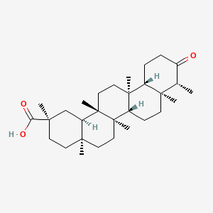 B1676227 Maytenonic acid CAS No. 33600-93-0