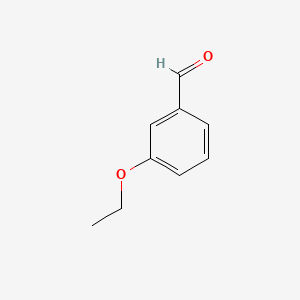 molecular formula C9H10O2 B1676413 3-Ethoxybenzaldehyde CAS No. 22924-15-8