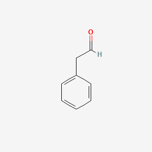 molecular formula C8H8O B1677652 苯乙醛 CAS No. 122-78-1
