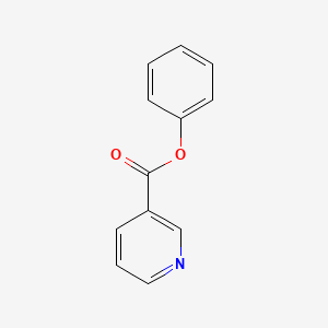 B1677673 Phenyl nicotinate CAS No. 3468-53-9