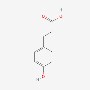 molecular formula C9H10O3 B1677690 3-(4-Hydroxyphenyl)propionic acid CAS No. 501-97-3