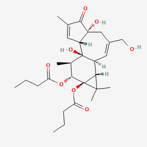 B1677700 Phorbol 12,13-dibutyrate CAS No. 37558-16-0