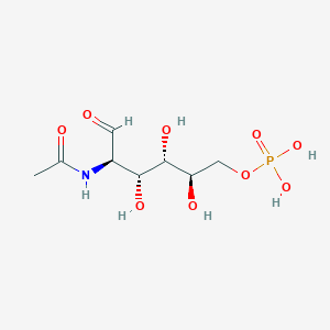 molecular formula C8H16NO9P B167814 Glcnac6P CAS No. 1746-32-3