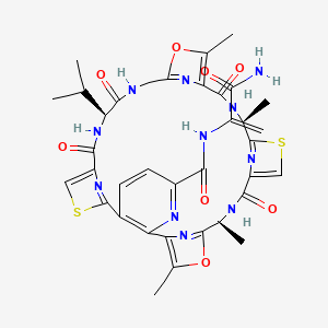 molecular formula C36H37N11O8S2 B1678246 Promothiocin A CAS No. 156737-05-2