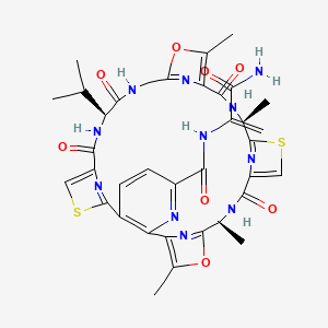 molecular formula C36H46N11O8S2 B1678246 Promothiocin A CAS No. 156737-05-2