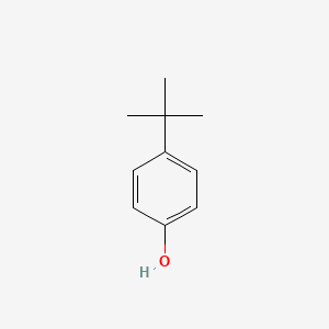 molecular formula C10H14O<br>HOC6H4C(CH3)3<br>C10H14O B1678320 4-Tert-butylphenol CAS No. 98-54-4