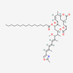 molecular formula C51H77NO10 B1678355 [(14Z)-8-[(4E,6E,8E)-3-methoxy-4,8-dimethyl-9-(2-methyl-1,3-oxazol-4-yl)nona-4,6,8-trien-2-yl]-11,16-dimethyl-6,19-dioxo-4,7,12,18-tetraoxatetracyclo[15.3.1.03,5.011,13]henicos-14-en-10-yl] hexadecanoate CAS No. 135819-69-1