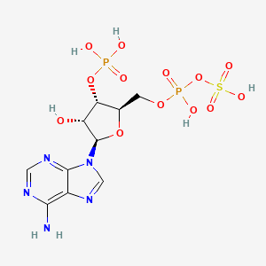 3'-Phosphoadenosine 5'-phosphosulfate