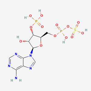 molecular formula C10H15N5O13P2S B1678418 Phosphoadenosine phosphosulfate CAS No. 482-67-7