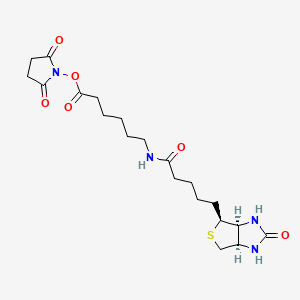 molecular formula C20H30N4O6S B1678671 2,5-Dioxopyrrolidin-1-yl 6-(5-((3aS,4S,6aR)-2-oxohexahydro-1H-thieno[3,4-d]imidazol-4-yl)pentanamido)hexanoate CAS No. 72040-63-2