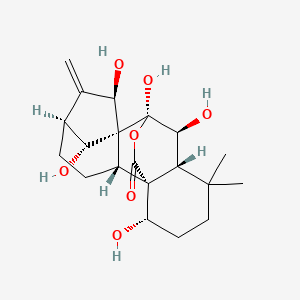 molecular formula C20H28O7 B1678783 Rabdoternin B CAS No. 128887-81-0
