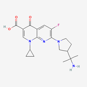 molecular formula C19H23FN4O3 B1679102 7-(3-(1-Amino-1-methylethyl)-1-pyrrolidinyl)-1-cyclopropyl-6-fluoro-1,4-dihydro-4-oxo-1,8-naphthyridine-3-carboxylic acid CAS No. 107334-06-5