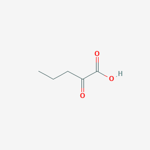 molecular formula C5H8O3 B167938 2-Oxovaleric acid CAS No. 1821-02-9
