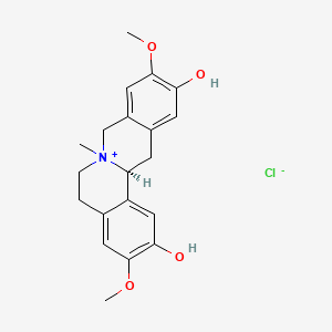 Phellodendrine chloride