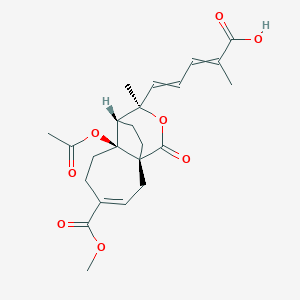 molecular formula C23H28O8 B1679821 5-[(1R,7S,8S,9R)-7-acetyloxy-4-methoxycarbonyl-9-methyl-11-oxo-10-oxatricyclo[6.3.2.01,7]tridec-3-en-9-yl]-2-methylpenta-2,4-dienoic acid CAS No. 82508-31-4