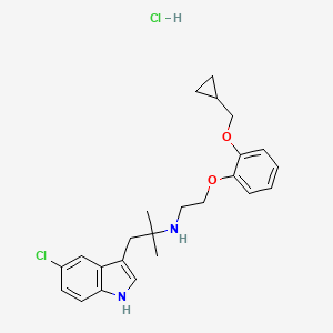molecular formula C24H30Cl2N2O2 B1680055 RS 17053盐酸盐 CAS No. 169505-93-5