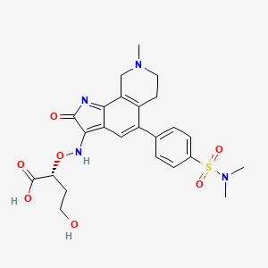 molecular formula C24H28N4O7S B1680086 Butanoic acid, 2-[[[5-[4-[(dimethylamino)sulfonyl]phenyl]-1,2,6,7,8,9-hexahydro-8-methyl-2-oxo-3H-pyrrolo[3,2-h]isoquinolin-3-ylidene]amino]oxy]-4-hydroxy- CAS No. 245063-59-6