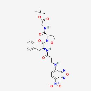 molecular formula C28H33N7O9 B1680447 tert-butyl 2-[[(3S)-2-[(2S)-2-[3-[(4-nitro-2,1,3-benzoxadiazol-7-yl)amino]propanoylamino]-3-phenylpropanoyl]-1,2-oxazolidine-3-carbonyl]amino]acetate CAS No. 143199-54-6