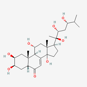molecular formula C27H44O8 B1680584 Rhapontisterone CAS No. 137476-71-2