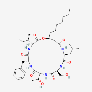 molecular formula C38H61N5O9 B1680952 Serrawettin W2 CAS No. 140909-80-4