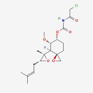 O-(chloroacetylcarbamoyl)fumagillol
