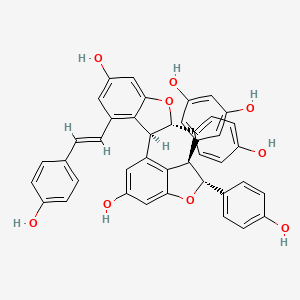 B1681358 trans-miyabenol C CAS No. 109605-83-6