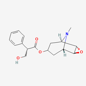 B1681570 Scopolamine CAS No. 51-34-3