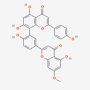 molecular formula C31H20O10 B1681631 Sequoiaflavone CAS No. 21763-71-3