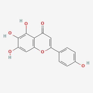 molecular formula C15H10O6 B1681691 Scutellarein CAS No. 529-53-3