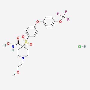molecular formula C22H26ClF3N2O7S B1681697 SD 2590 hydrochloride CAS No. 226395-93-3