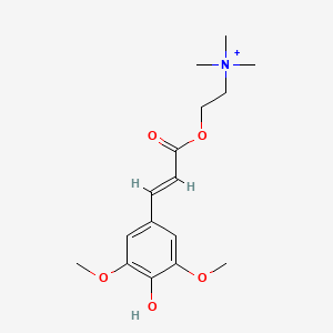 B1681761 Sinapine CAS No. 18696-26-9