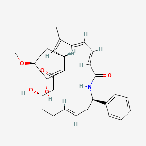molecular formula C29H35NO5 B1681771 (1R,2Z,4E,6E,10R,12E,16S,21S)-16,20-dihydroxy-21-methoxy-3-methyl-10-phenyl-9-azabicyclo[17.3.0]docosa-2,4,6,12,19-pentaene-8,18-dione CAS No. 77642-19-4