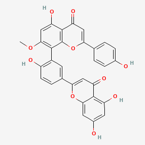 molecular formula C31H20O10 B1681964 Sotetsuflavone CAS No. 2608-21-1