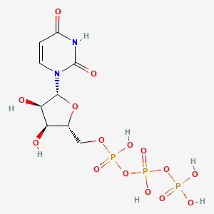 molecular formula C9H15N2O15P3 B1682116 Uridine 5'-triphosphate CAS No. 63-39-8