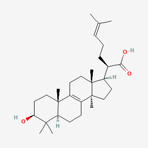 B1682453 Trametenolic acid CAS No. 24160-36-9