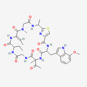 molecular formula C36H45N9O9S B1683626 Zelkovamycin 