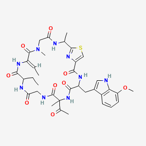 molecular formula C36H45N9O9S B1683626 泽尔可霉素 CAS No. 221197-33-7