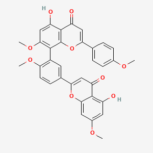 molecular formula C34H26O10 B1684075 4H-1-Benzopyran-4-one, 5-hydroxy-8-(5-(5-hydroxy-7-methoxy-4-oxo-4H-1-benzopyran-2-yl)-2-methoxyphenyl)-7-methoxy-2-(4-methoxyphenyl)-, (+)- CAS No. 22783-08-0