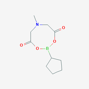 molecular formula C10H16BNO4 B168580 2-Cyclopentyl-6-methyl-1,3,6,2-dioxazaborocane-4,8-dione CAS No. 117311-84-9