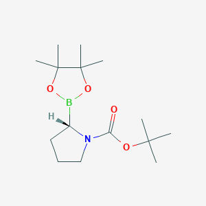 molecular formula C15H28BNO4 B168841 (S)-tert-Butyl 2-(4,4,5,5-tetramethyl-1,3,2-dioxaborolan-2-yl)pyrrolidine-1-carboxylate CAS No. 149682-82-6