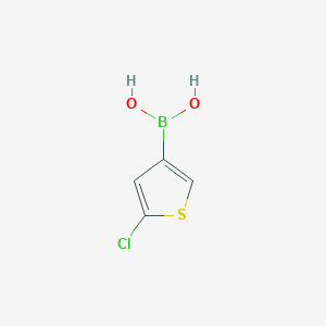 (5-Chlorothiophen-3-YL)boronic acid