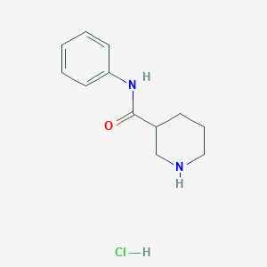 molecular formula C12H17ClN2O B169007 N-Phenyl-3-piperidinecarboxamide hydrochloride CAS No. 173987-10-5