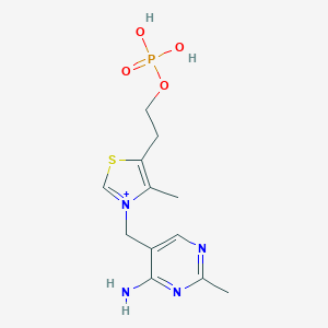 molecular formula C12H18N4O4PS+ B169284 Thiamine monophosphate CAS No. 10023-48-0