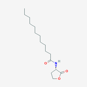 molecular formula C16H29NO3 B169663 N-dodecanoyl-L-Homoserine lactone CAS No. 137173-46-7