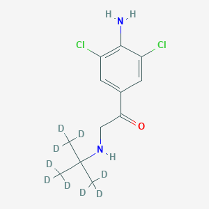 1-(4-Amino-3,5-dichloro-phenyl)-2-tert-butyl-d9-amino-ethanone